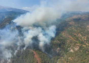 Muğla’da orman yangını! Ekipler müdahale ediyor