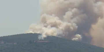 Heybeliada’daki orman yangını kontrol altında