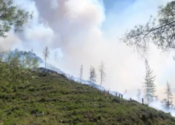 Burdurda Çıkan Yangına 4 Heli̇kopter Ve 1 Uçakla Müdahale Edi̇li̇yor