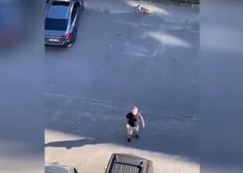 Sosyal medya ‘Daire 16’yı konuşuyor