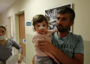Bursa’da 2 yaşındaki çocuğa saldıran köpeğin sahibi aranıyor