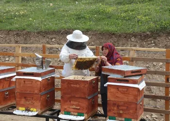 Kilosu bin 200 TL oldu, 1 ton sipariş var