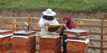 Kilosu bin 200 TL oldu, 1 ton sipariş var