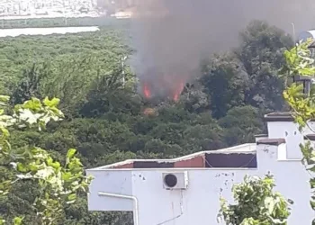 Fi̇ni̇kede Sazlık Alanda Çıkan Yangın Kontrol Altına Alındı