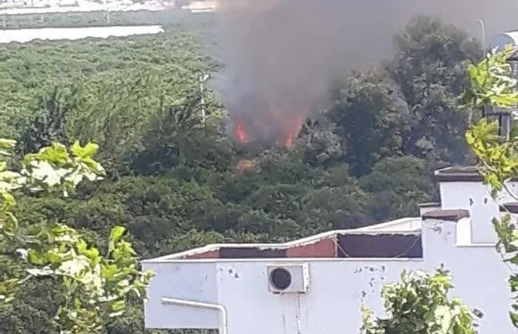 Fi̇ni̇kede Sazlık Alanda Çıkan Yangın Kontrol Altına Alındı