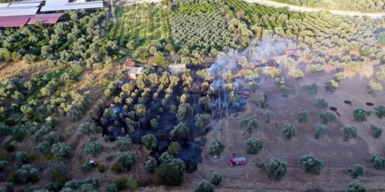 Kaynak Yaparken Arazi̇si̇ni̇ Yaktı