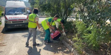 Muğladaki̇ Yangında Hayvanları Tahli̇ye Edi̇p Besledi̇ler