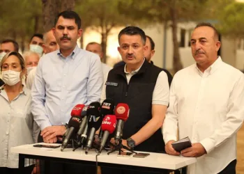 Yangınlarında son durum: Bakan Pakdemirli açıkladı