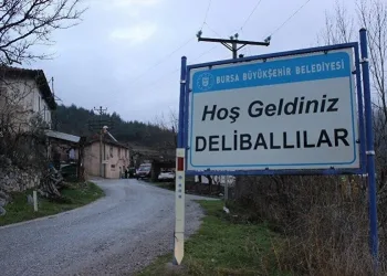 Bursa’da sit alanı ilan edilen köy harabeye döndü