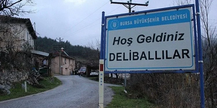 Bursa’da sit alanı ilan edilen köy harabeye döndü