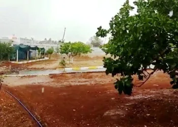Şanlıurfada Sel Araçları Sürükledi̇