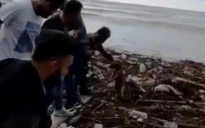 Selde Mahsur Kalan Köpeği̇ El Ele Zi̇nci̇r Yaparak Kurtardılar