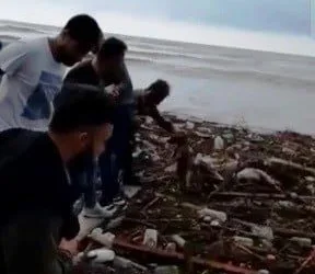 Selde Mahsur Kalan Köpeği̇ El Ele Zi̇nci̇r Yaparak Kurtardılar