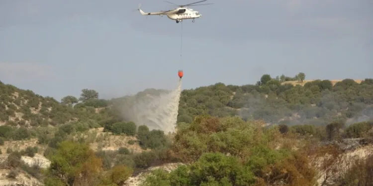 Uşakta Çıkan Yangın Kontrol Altına Alındı