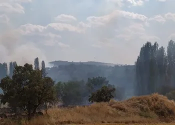 Uşakta Çıkan Yangına Havadan Müdahale Edi̇li̇yor