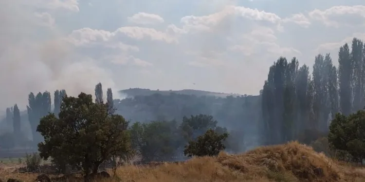 Uşakta Çıkan Yangına Havadan Müdahale Edi̇li̇yor