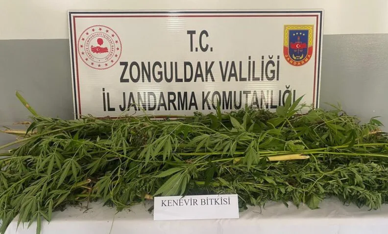 Zonguldakta Uyuşturucu Operasyonu