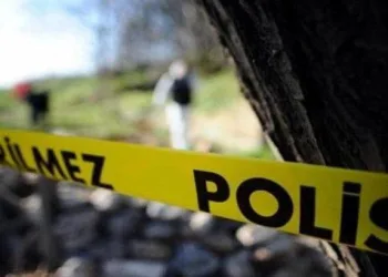 Her satırı korkunç! Ormana kaçırıp çırılçıplak soydular