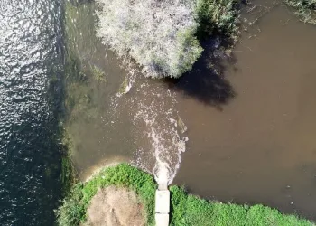 Uluabat Gölü için tehlike çanları çalıyor
