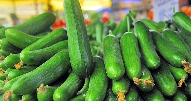 İstanbul’da zam şampiyonu salatalık oldu