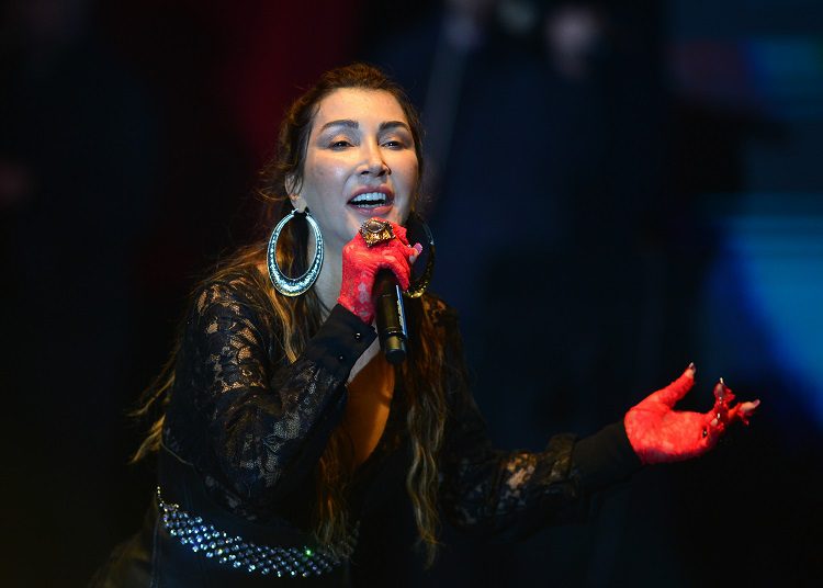Hande Yener'den Bursa'da yardım konseri