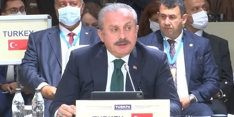 TBMM Başkanı Şentop: FETÖ, faaliyet gösterdiği ülkeler için milli güvenlik tehdidi