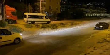Bursa’da aç kalan domuz sürüsü şehre indi