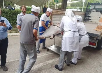 Bursa’da balık sezonu sıkı denetimle başladı