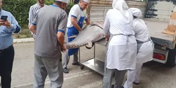 Bursa’da balık sezonu sıkı denetimle başladı