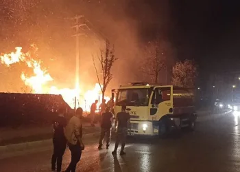Bursa’da çalılık alanda yangın