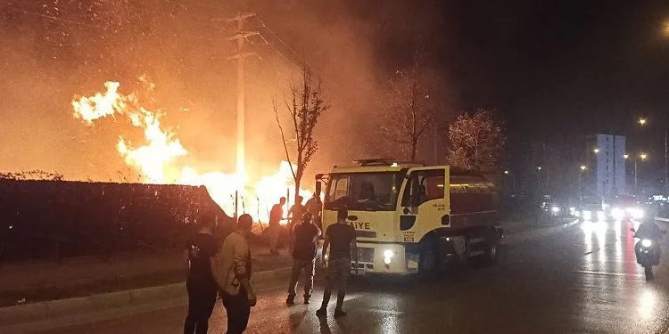 Bursa’da çalılık alanda yangın