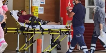 Bursa’da yaşlı kadın köpeklerin saldırısına uğradı