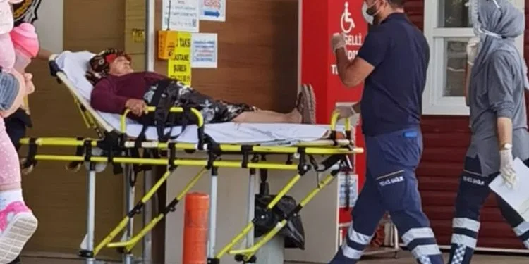Bursa’da yaşlı kadın köpeklerin saldırısına uğradı