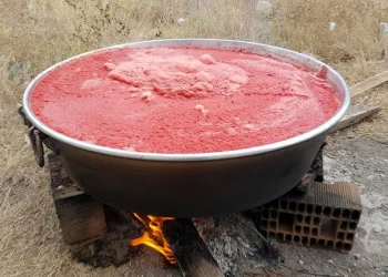 Bursa Karacabey’de salça kazanları kaynıyor