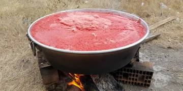 Bursa Karacabey’de salça kazanları kaynıyor