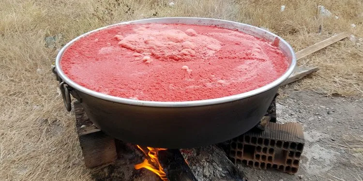 Bursa Karacabey’de salça kazanları kaynıyor