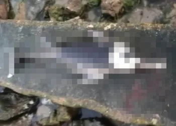Bursa’da vahşet! Silahla vurulmuş halde bulundu
