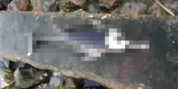 Bursa’da vahşet! Silahla vurulmuş halde bulundu