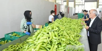 Bursa’da köylü kadınlara özel pazaryeri yapılıyor