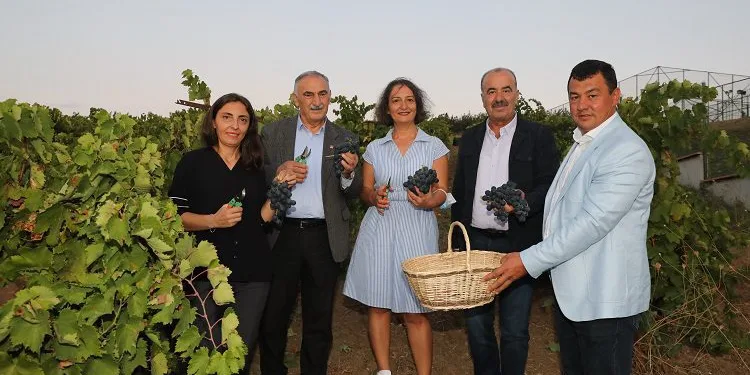 Bursa’da bağ bozumu şenliğinde üzümler yarıştı