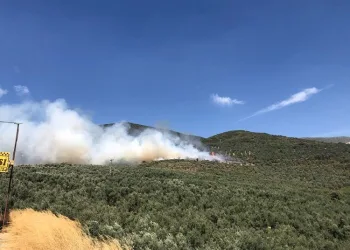 Bursa’da hastane yakınında ormanlık alanda yangın