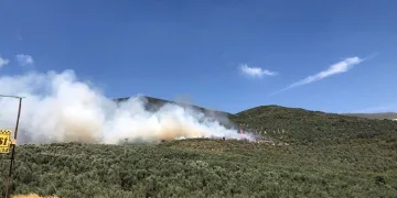 Bursa’da hastane yakınında ormanlık alanda yangın