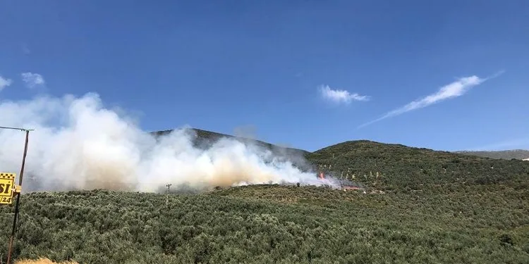 Bursa’da hastane yakınında ormanlık alanda yangın