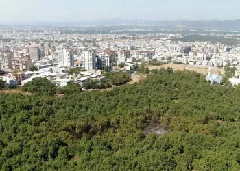 Bursa’da yerleşime 50 metre mesafede yangın