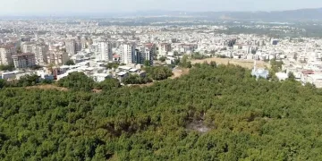 Bursa’da yerleşime 50 metre mesafede yangın