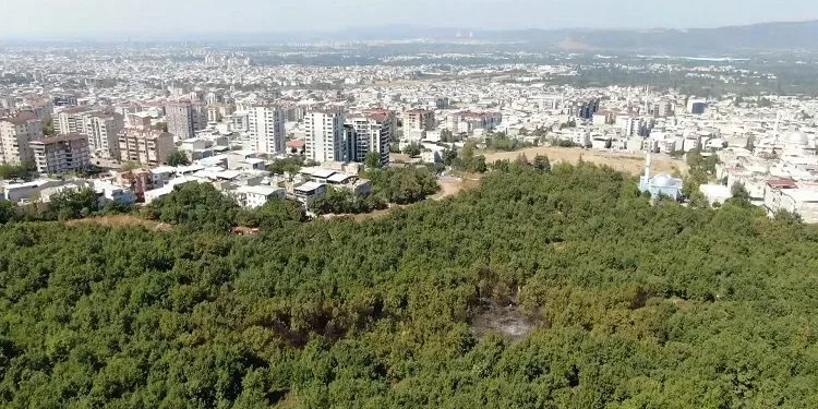Bursa’da yerleşime 50 metre mesafede yangın