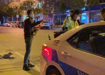 Bursa’da alkollü, ehliyetsiz ve karantina kaçağı çıktı