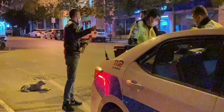 Bursa’da alkollü, ehliyetsiz ve karantina kaçağı çıktı
