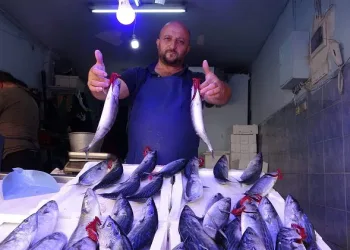Palamut tezgahlarda yerini aldı