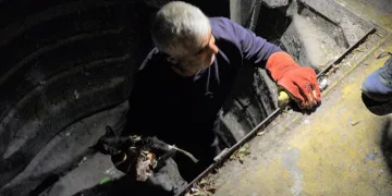 Bursa’da çöpe atılan kedi kurtarıldı